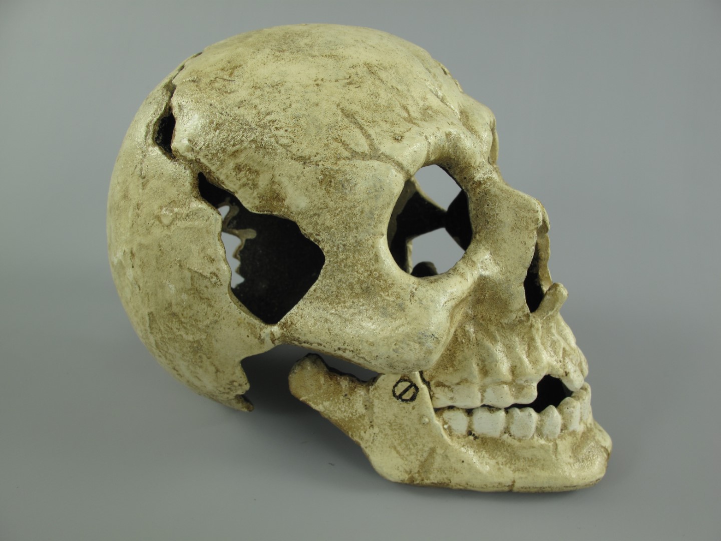 Totenkopf Eisen weiss H.17x22cm