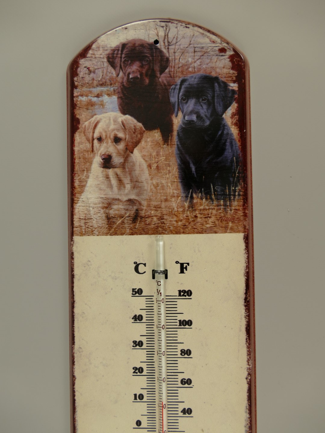 Thermometer Antik Eisen Hund H.48x13cm