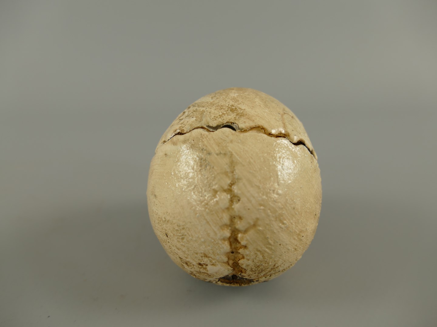 Totenkopf Flaschenöffner Eisen weiss H.5x7cm