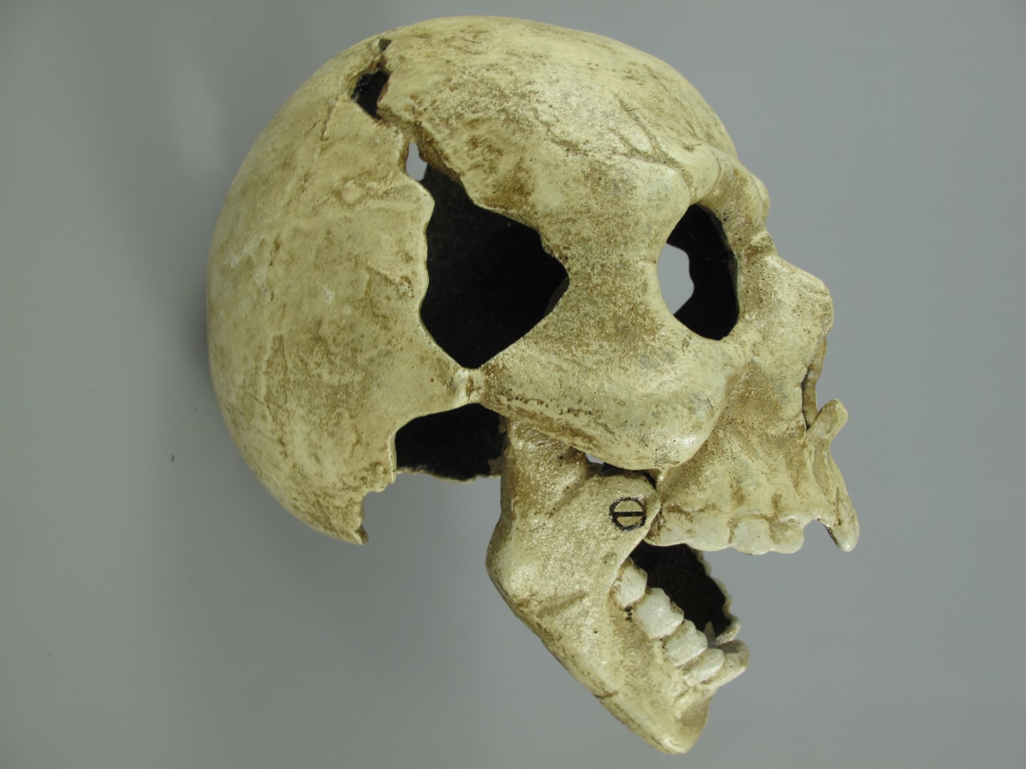 Totenkopf Eisen weiss H.17x22cm